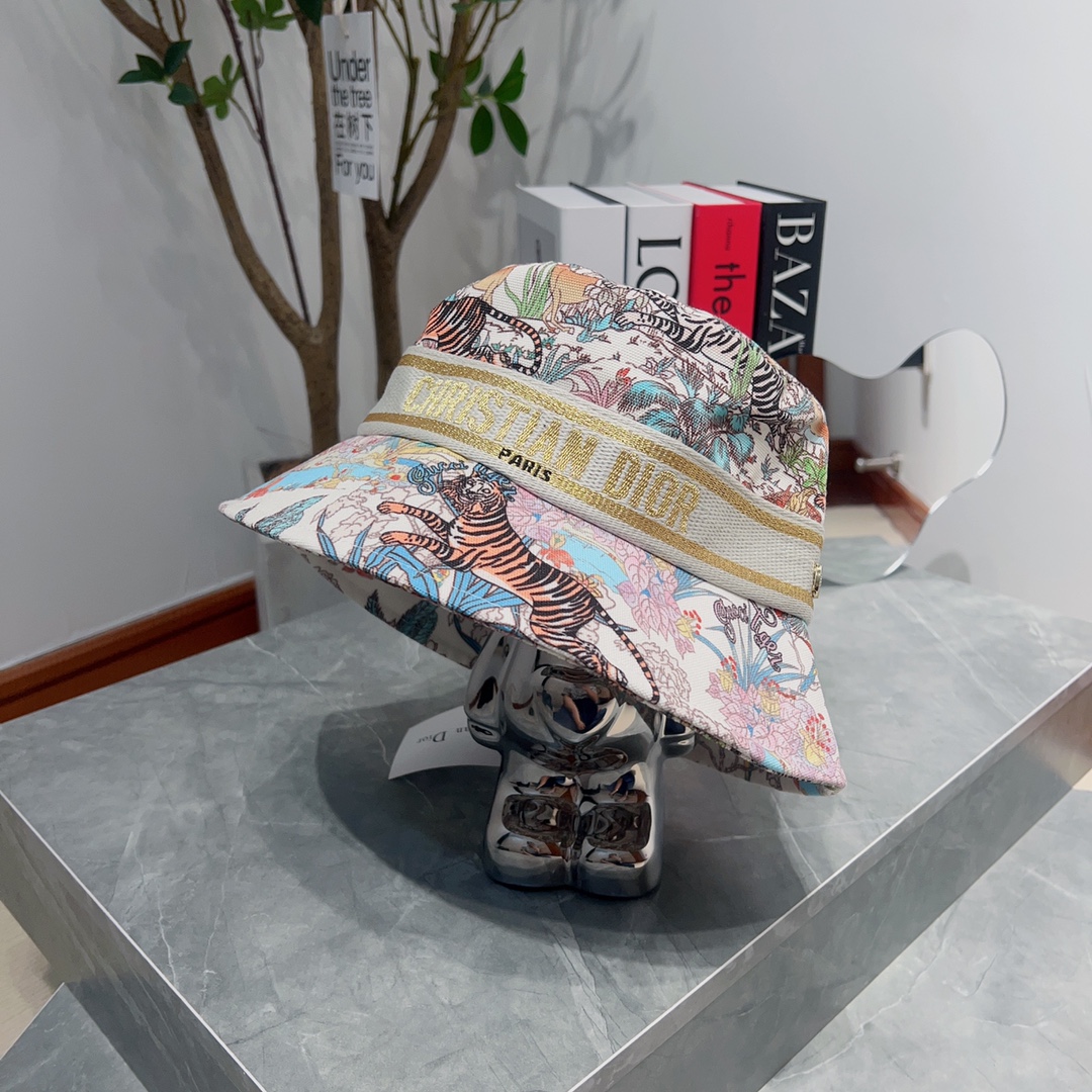 Dior Hats(Replica)