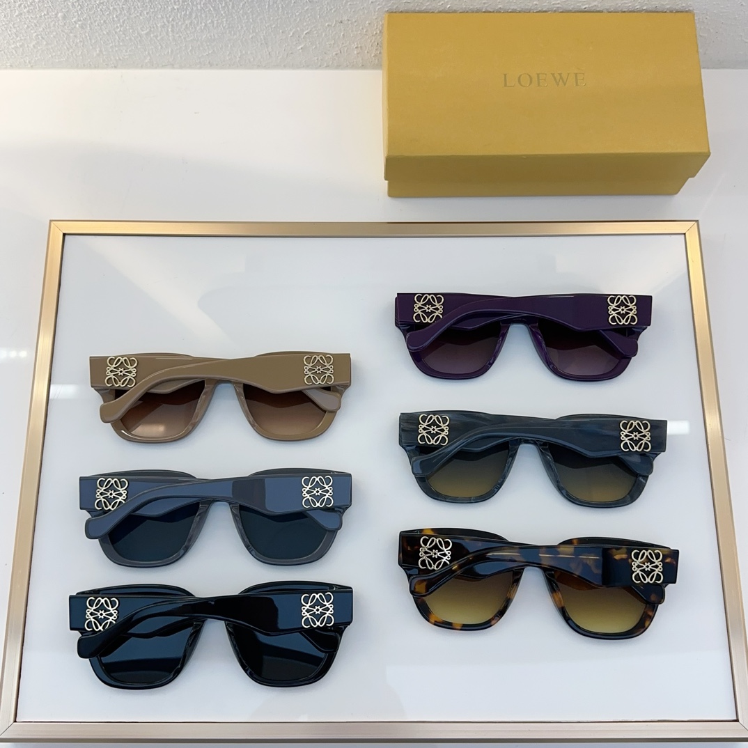 Loewe Sunglasses