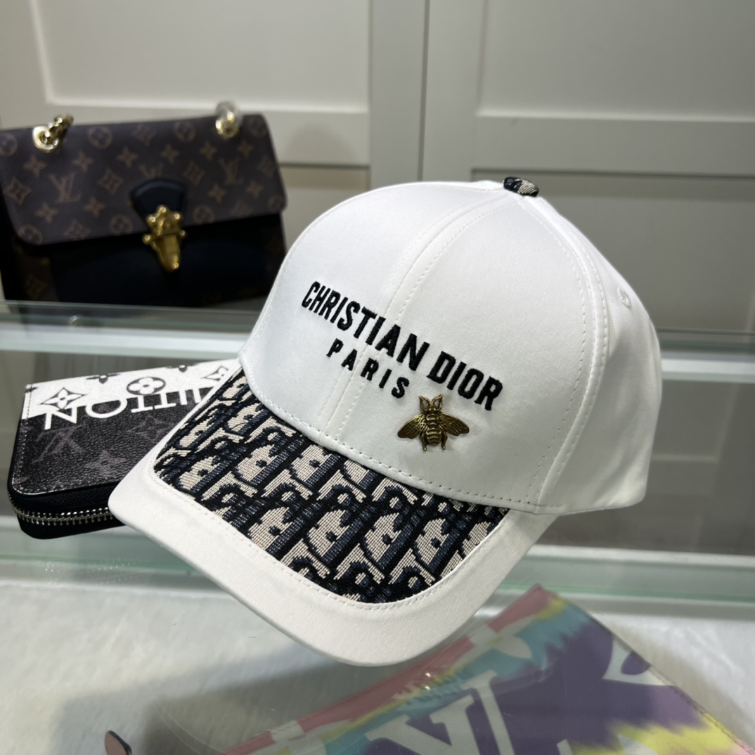 Dior Hats(Replica)