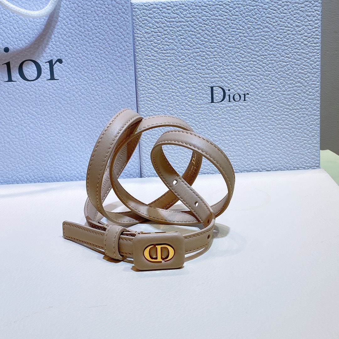 Dior Leather Belts 1:1 Mirror Version