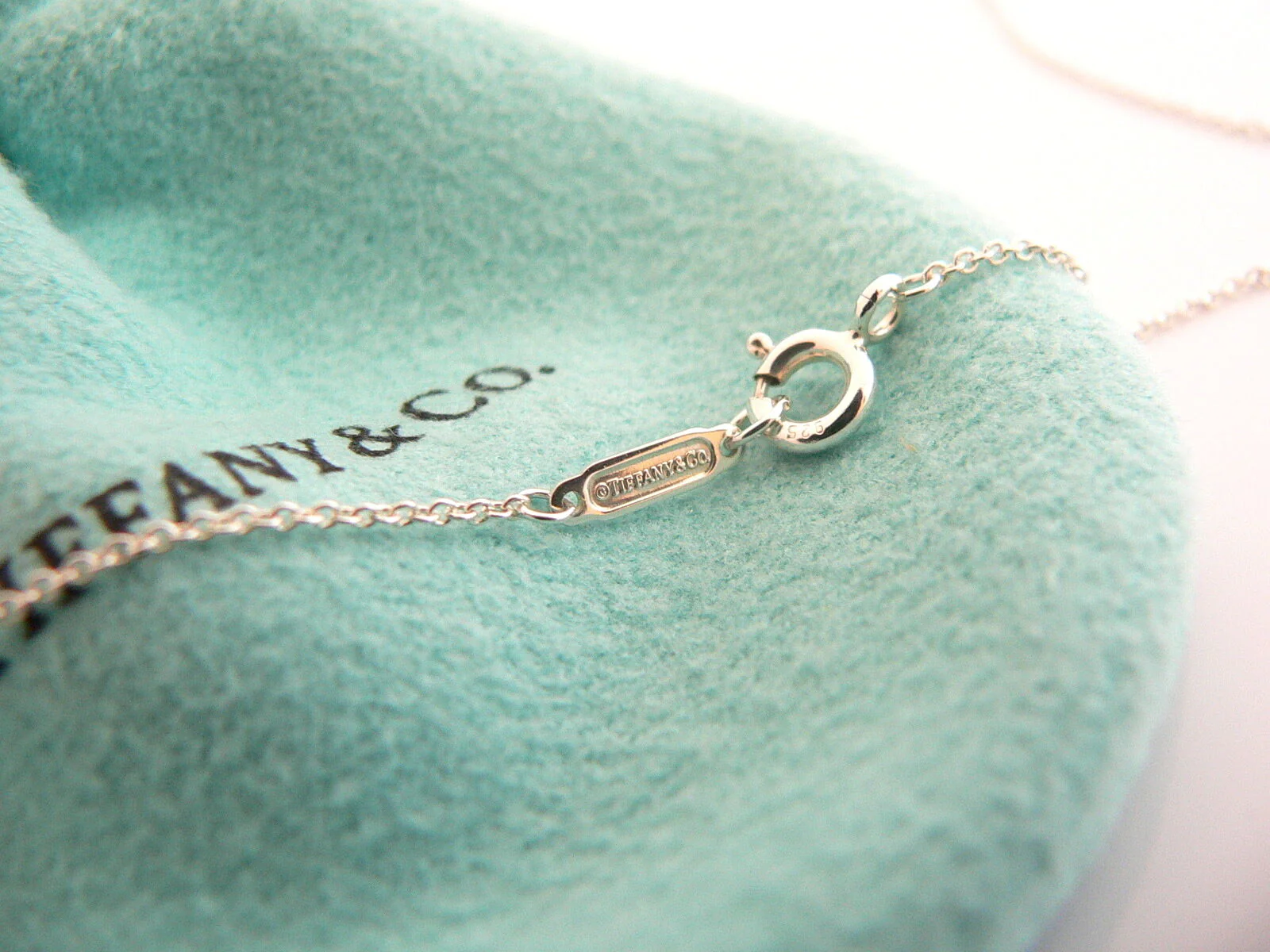 Tiffany & Co Diamond Flower Necklace Garden Lover Pendant Chain Charm Gift Pouch