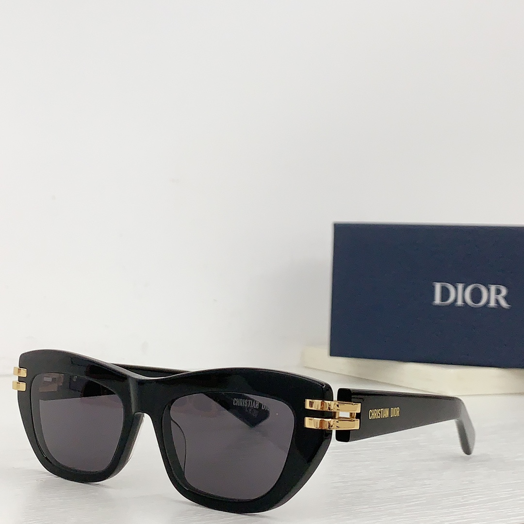 Dior Thick Acetate Sunglasses Top Quality (Replica）