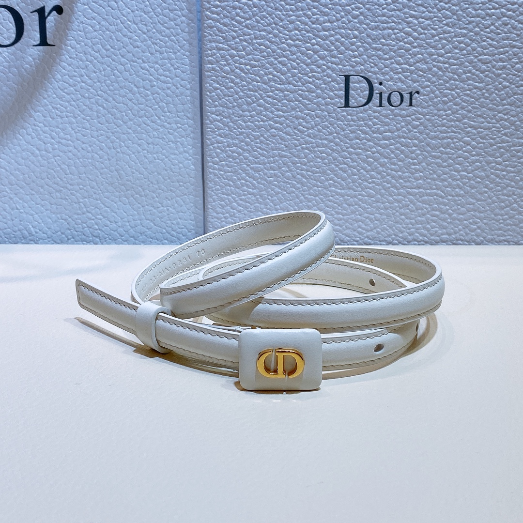 Dior Leather Belts 1:1 Mirror Version
