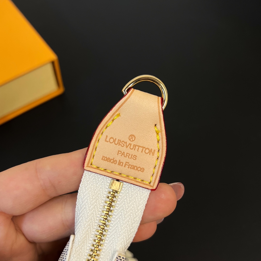 Louis Vuitton Multi Pochette Accessories Mini Bag Purse