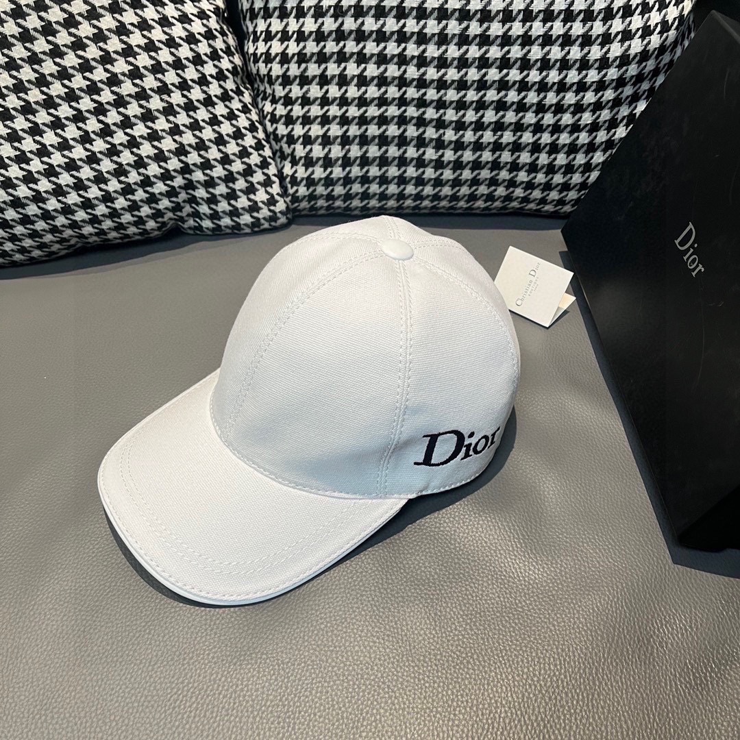 Dior Hats(Replica)