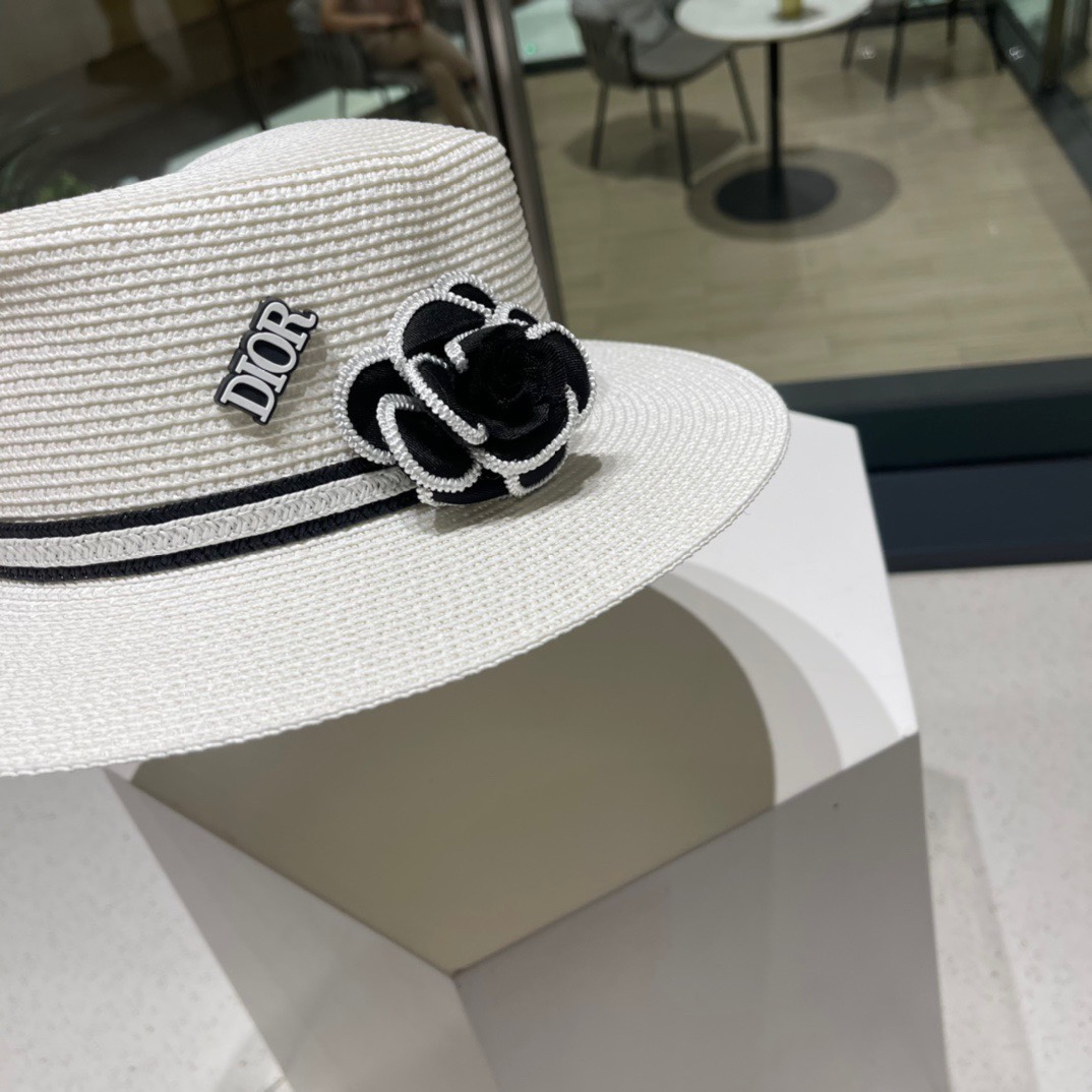 Dior Hats(Replica)