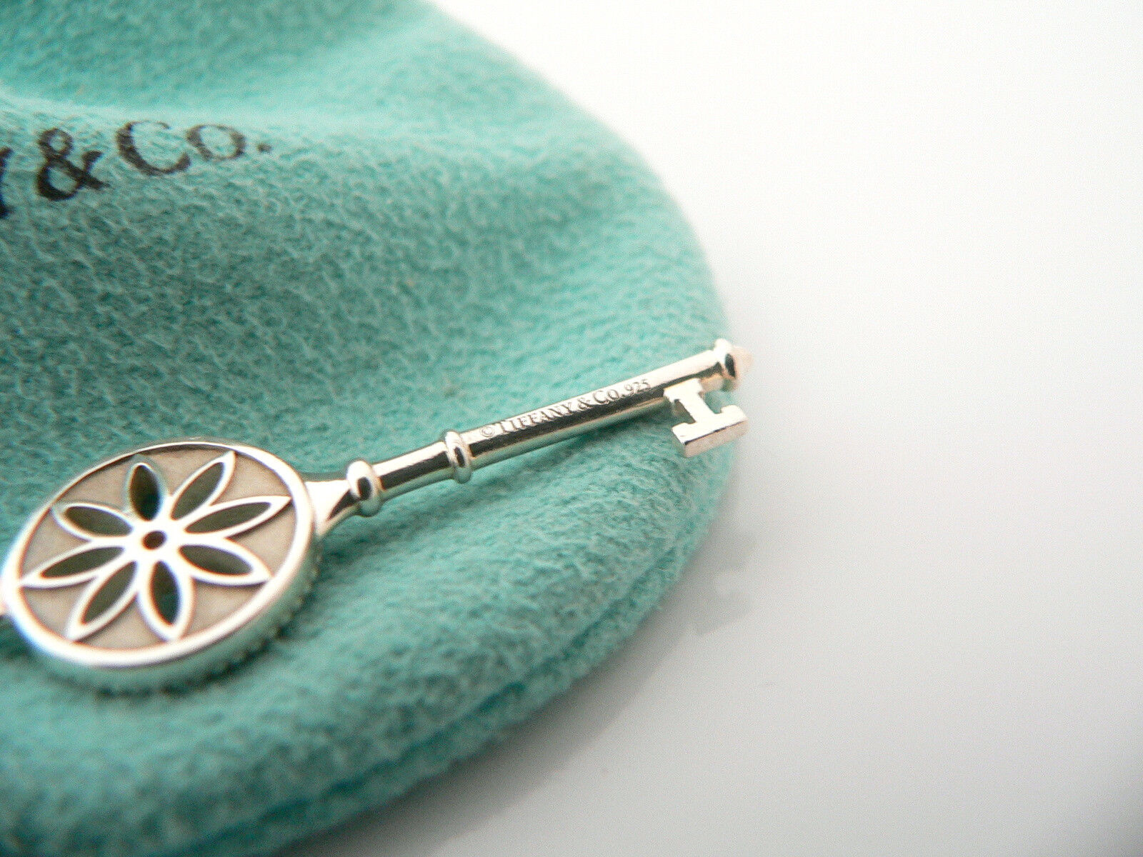 Tiffany Co Diamond Flower Necklace Nature Daisy Key Pendant Chain Gift Pouch Art