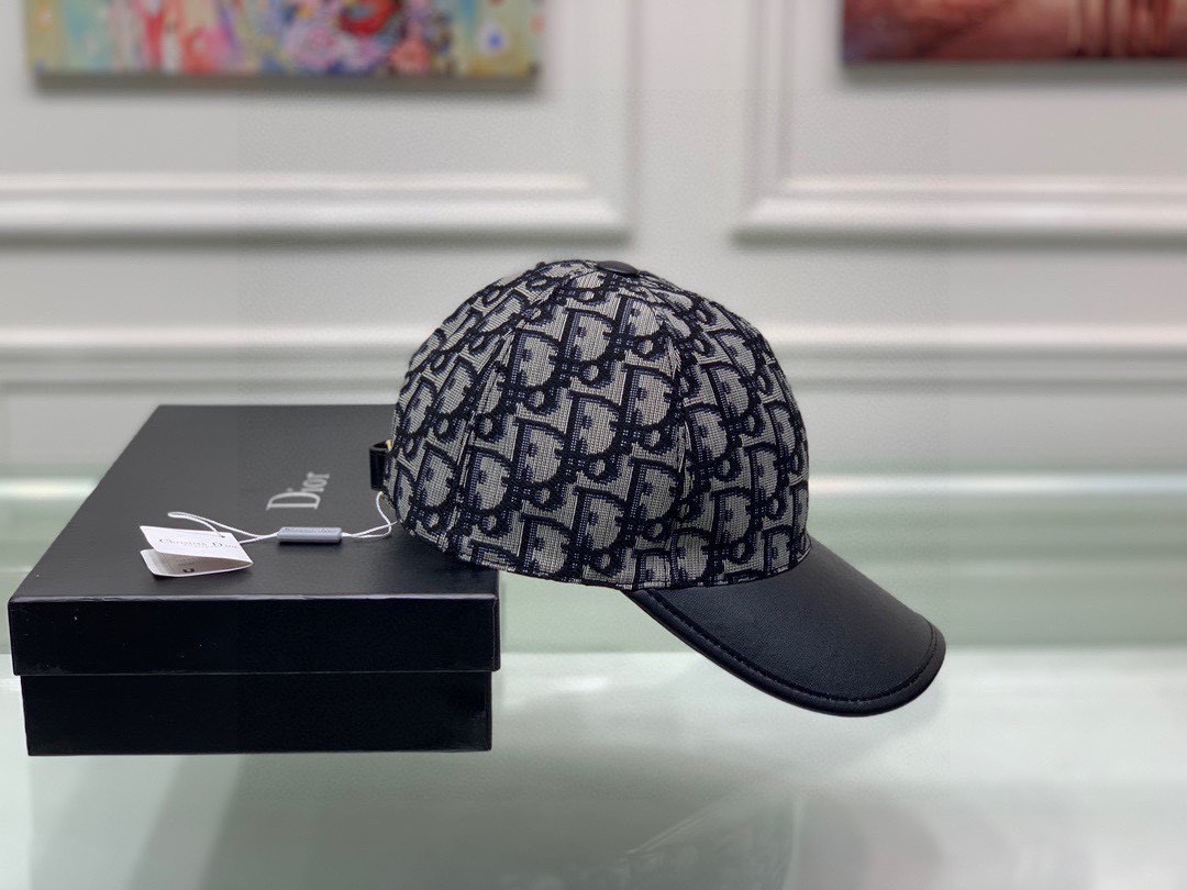 Dior Hats(Replica)