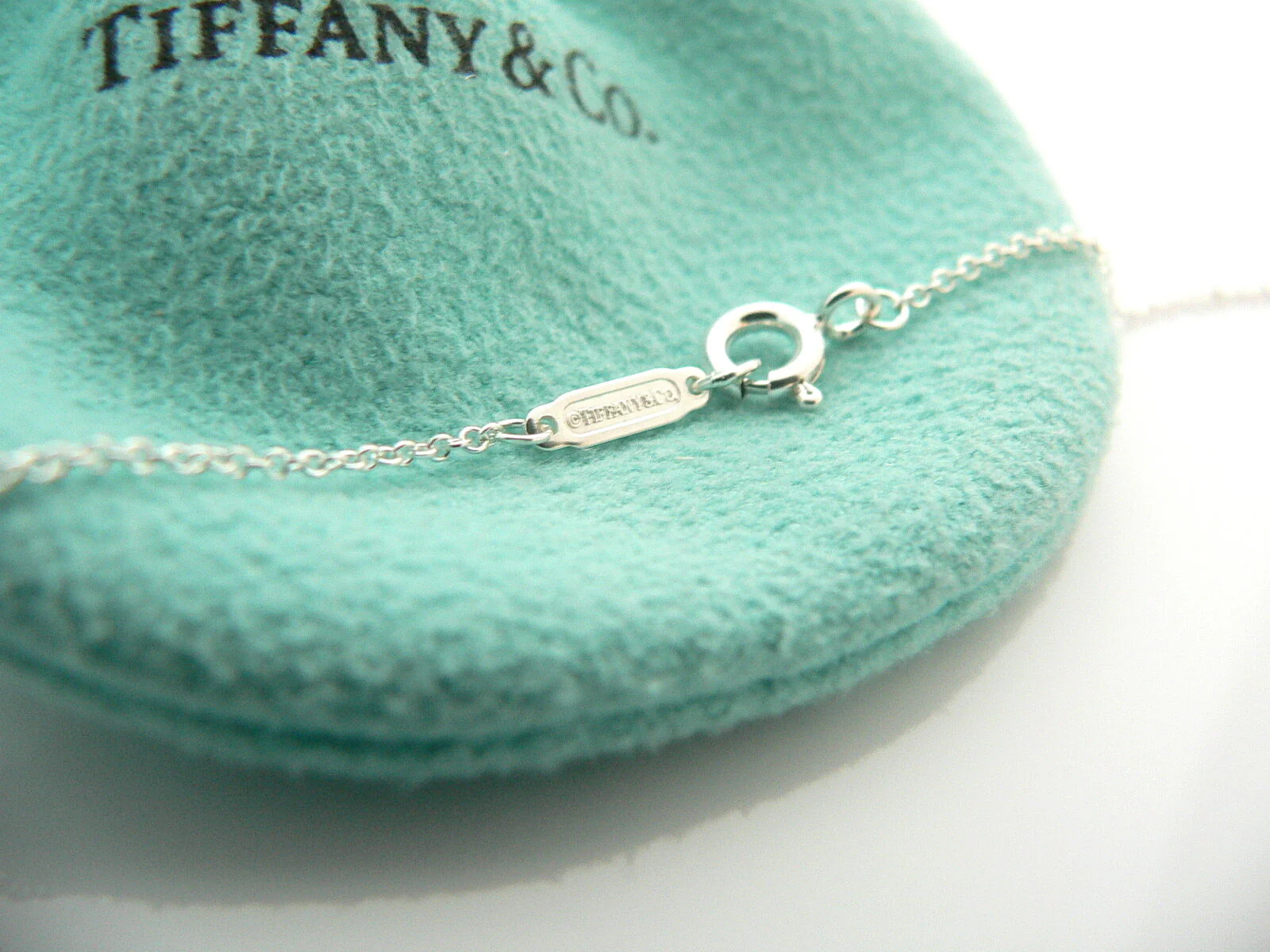 Tiffany & Co Round Necklace Pendant Double Circle Charm Chain Love Gift Pouch