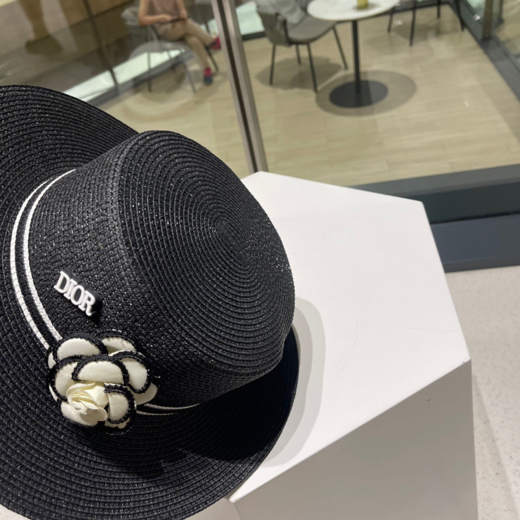 Dior Hats(Replica)