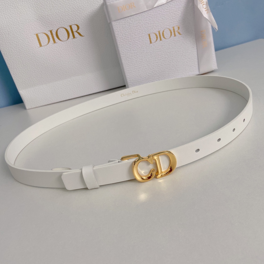 Dior Leather Belts 1:1 Mirror Version