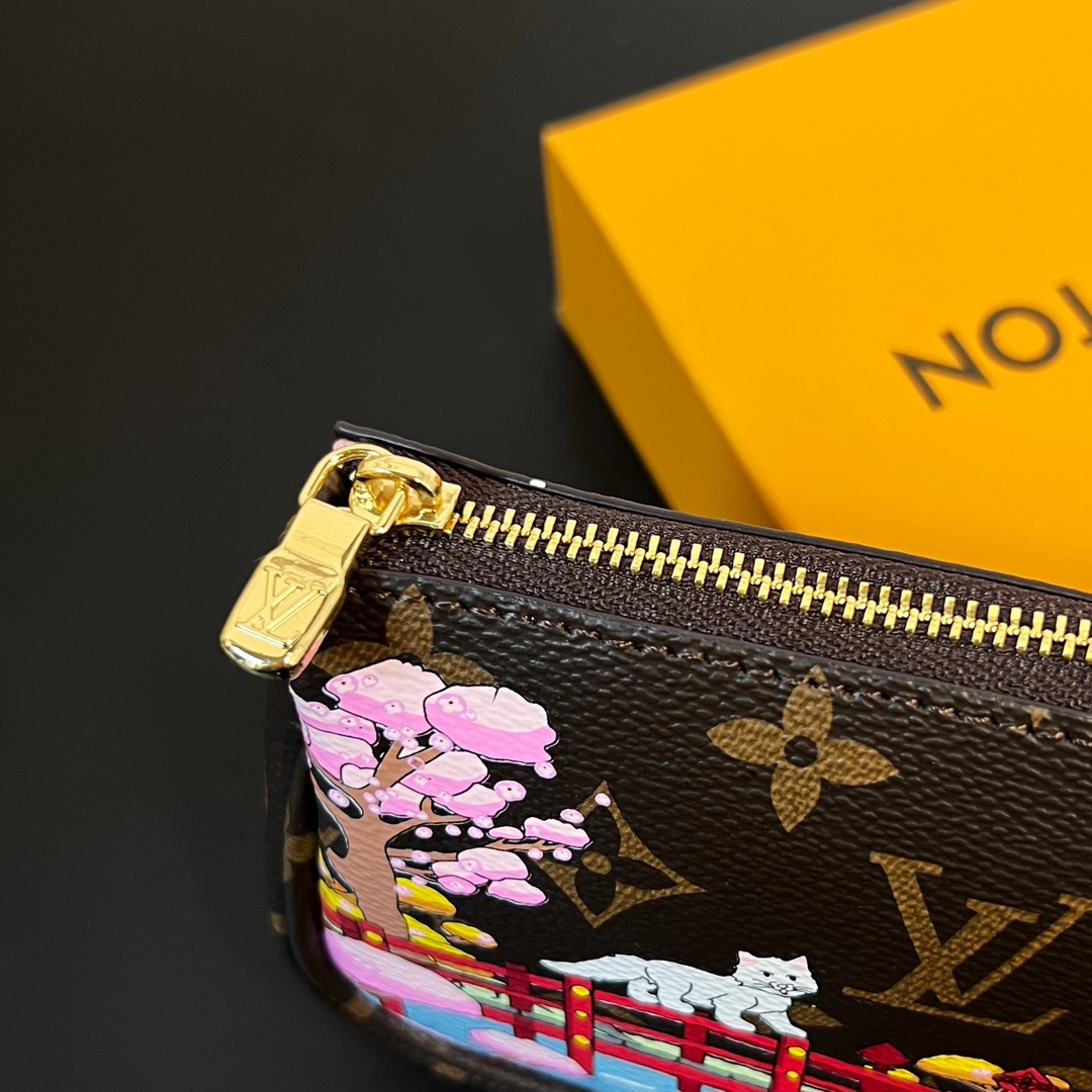 Louis Vuitton Multi Pochette Accessories Mini Bag Purse