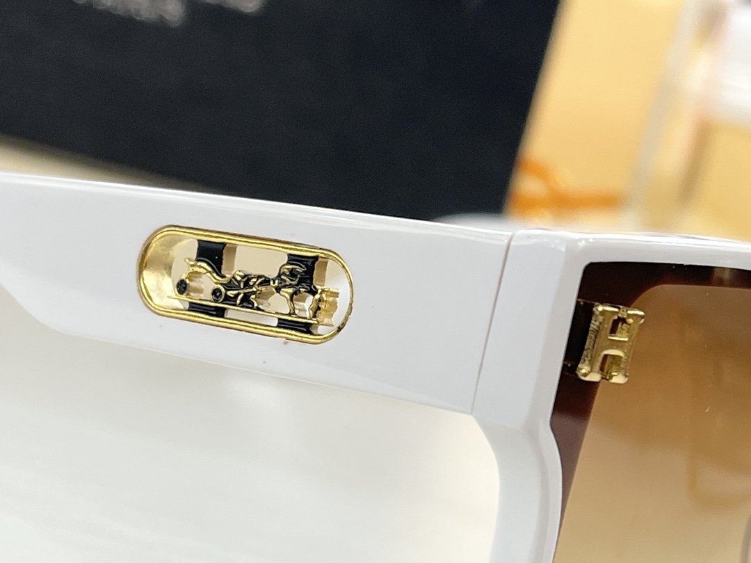 Hermes Sunglasses