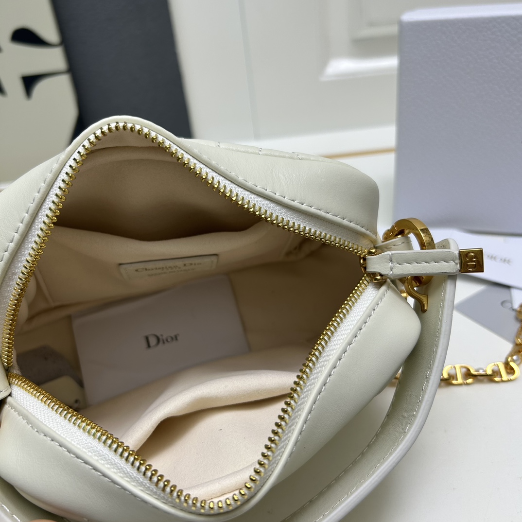 Dior Caro Camera Bags Shoulder Bag Handbag