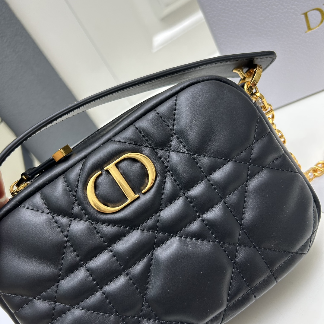 Dior Caro Camera Bags Shoulder Bag Handbag