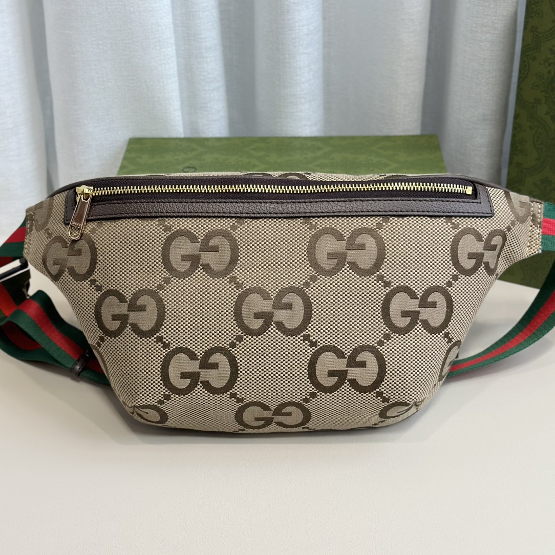 Gucci Canvas And leather Crossbody Shoulder Bag Belt Bag Bumbag (Replica)