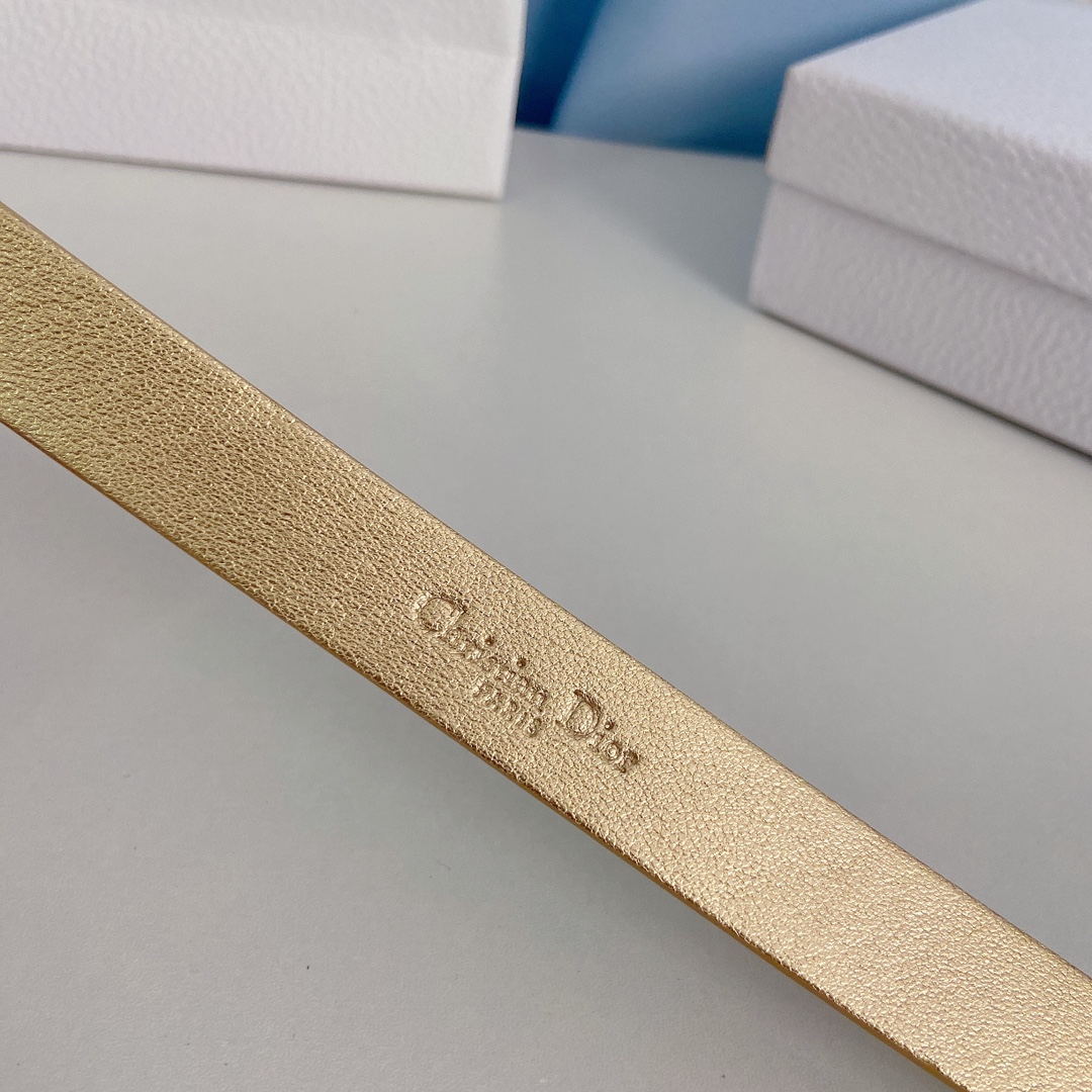 Dior Leather Belts 1:1 Mirror Version