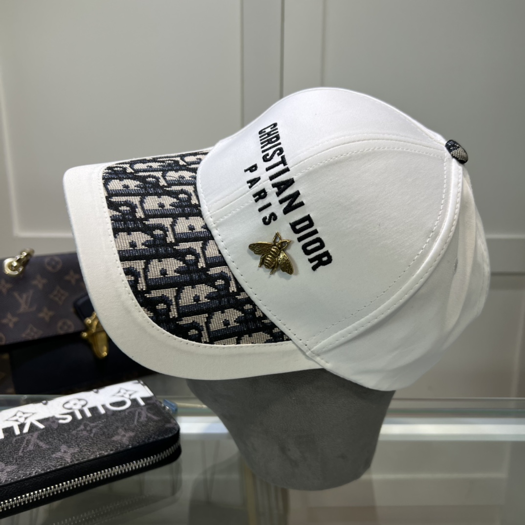 Dior Hats(Replica)