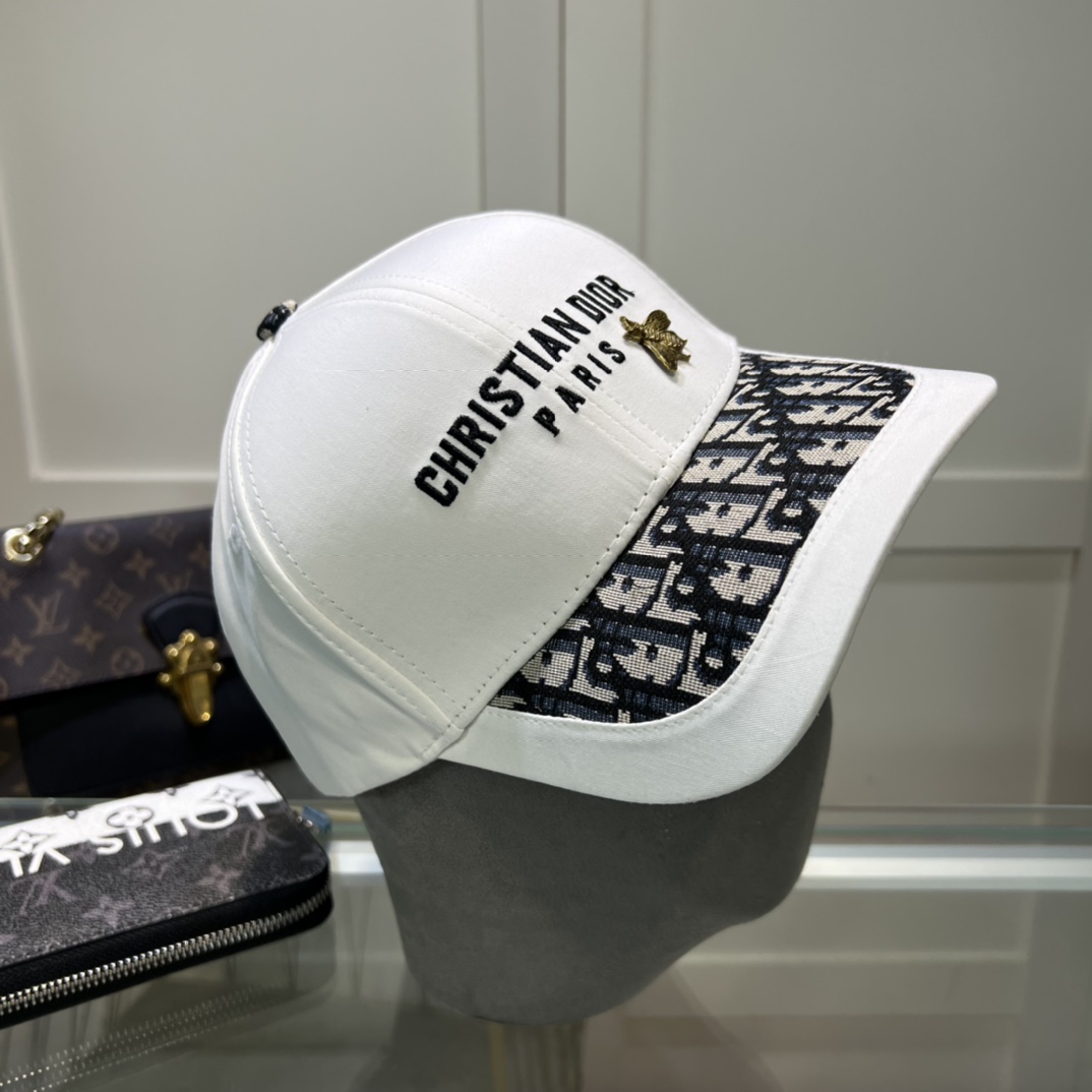 Dior Hats(Replica)