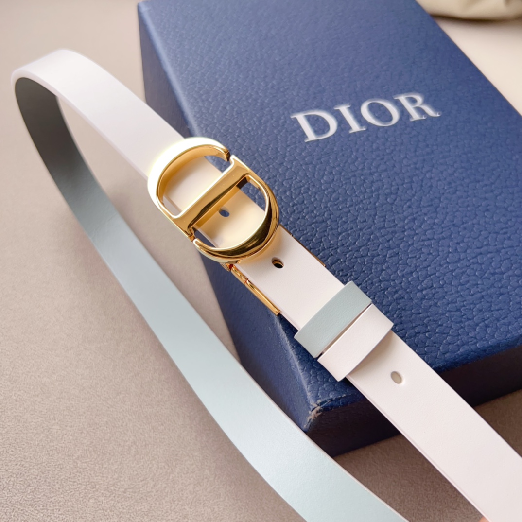 Dior Leather Belts 1:1 Mirror Version