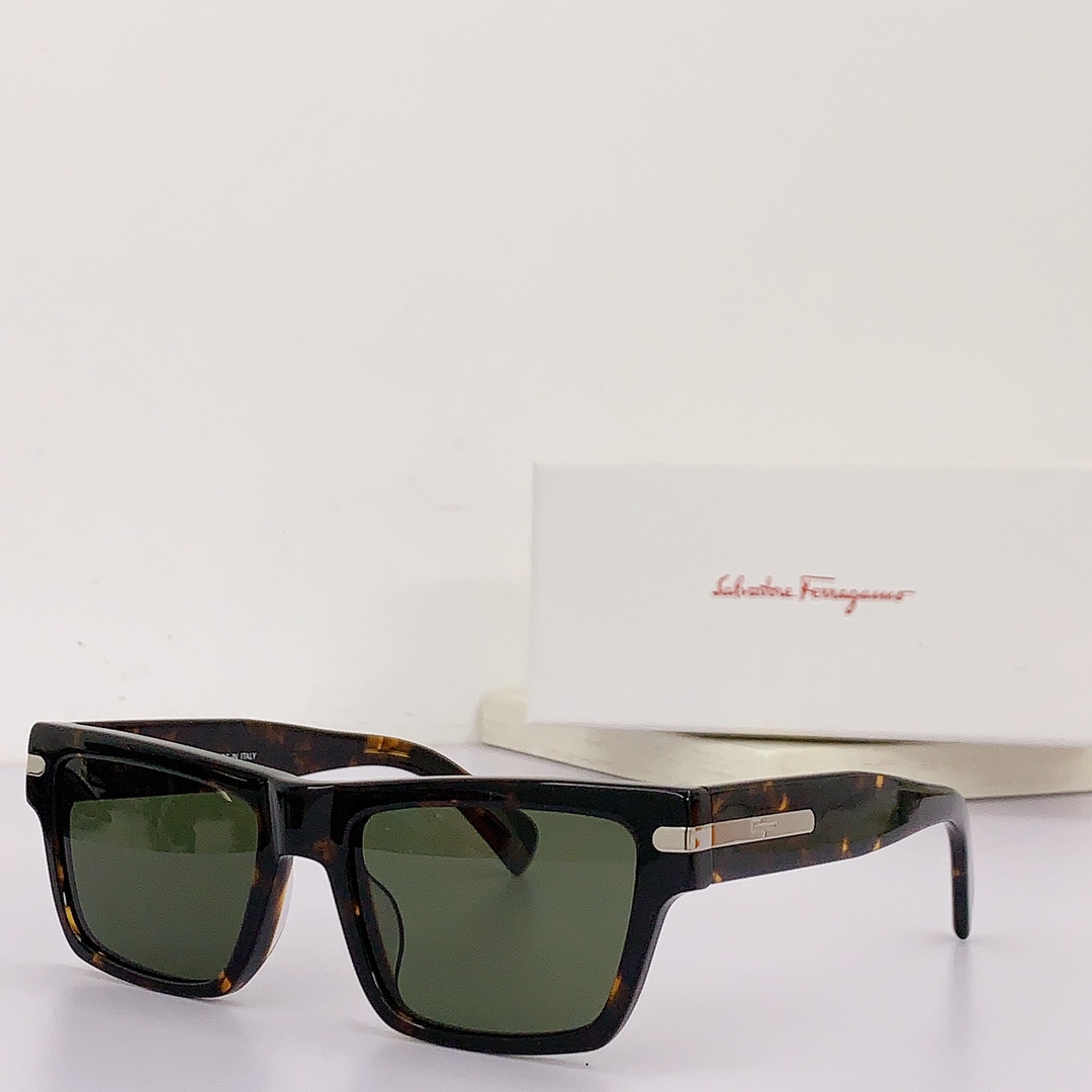 Ferragamo Sunglasses
