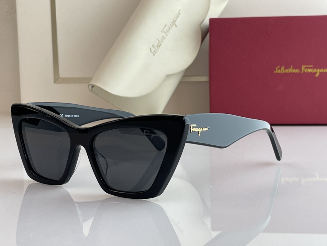 Ferragamo Sunglasses