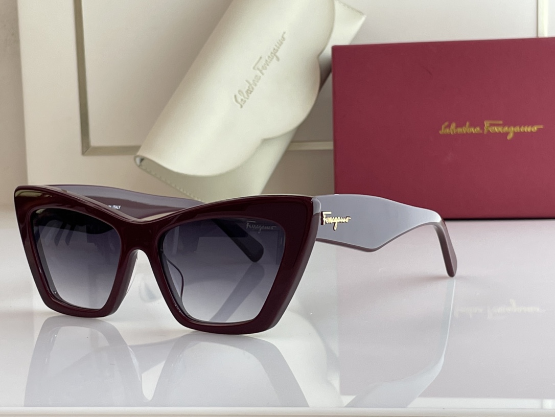 Ferragamo Sunglasses