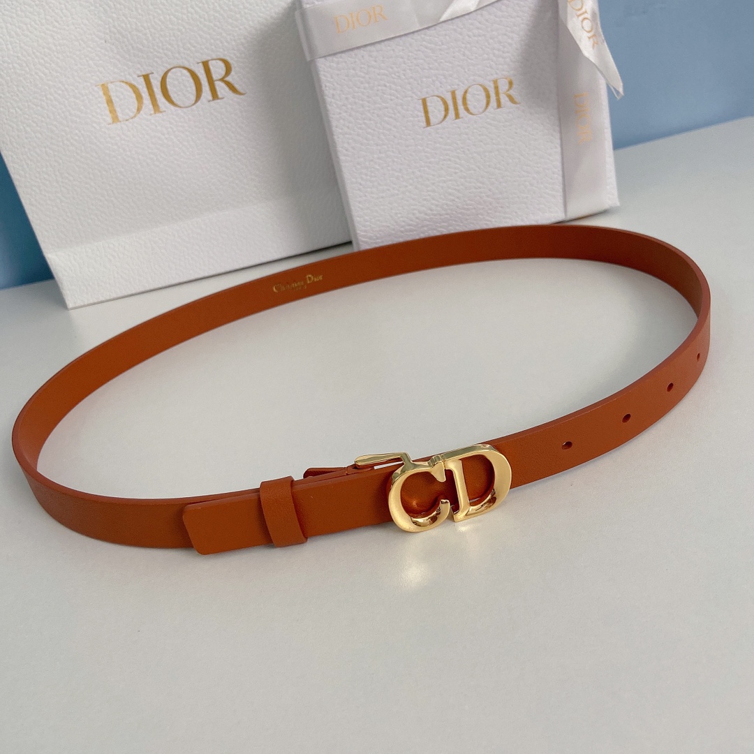 Dior Leather Belts 1:1 Mirror Version