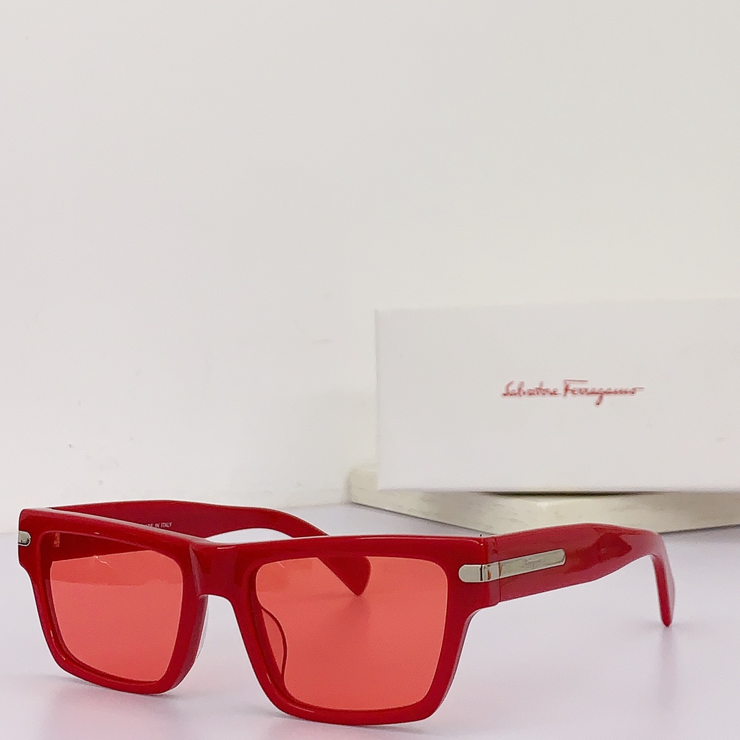 Ferragamo Sunglasses
