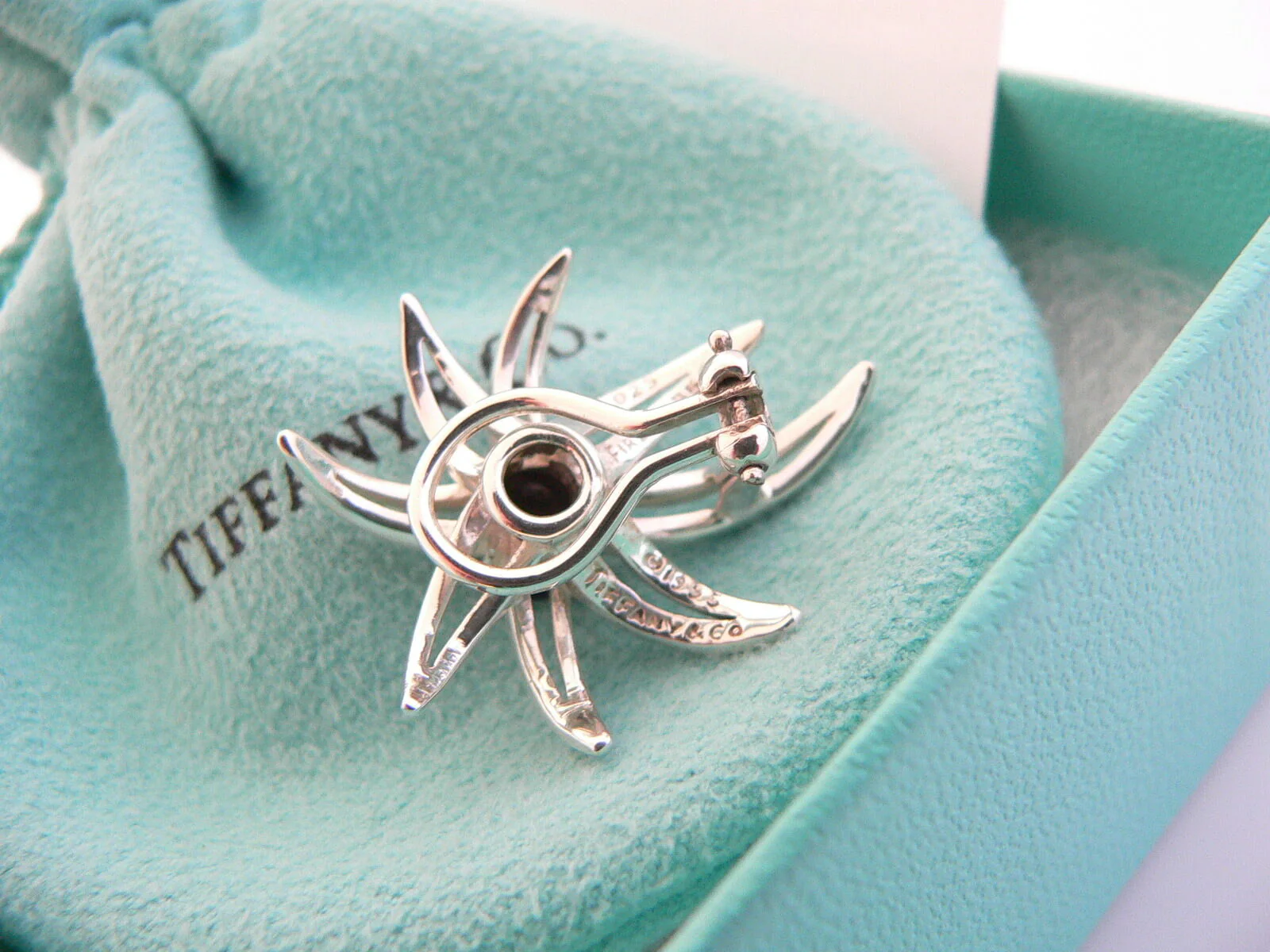 Tiffany & Co Silver Onyx Fireworks Clip On Earrings Gift Pouch Gemstone Love