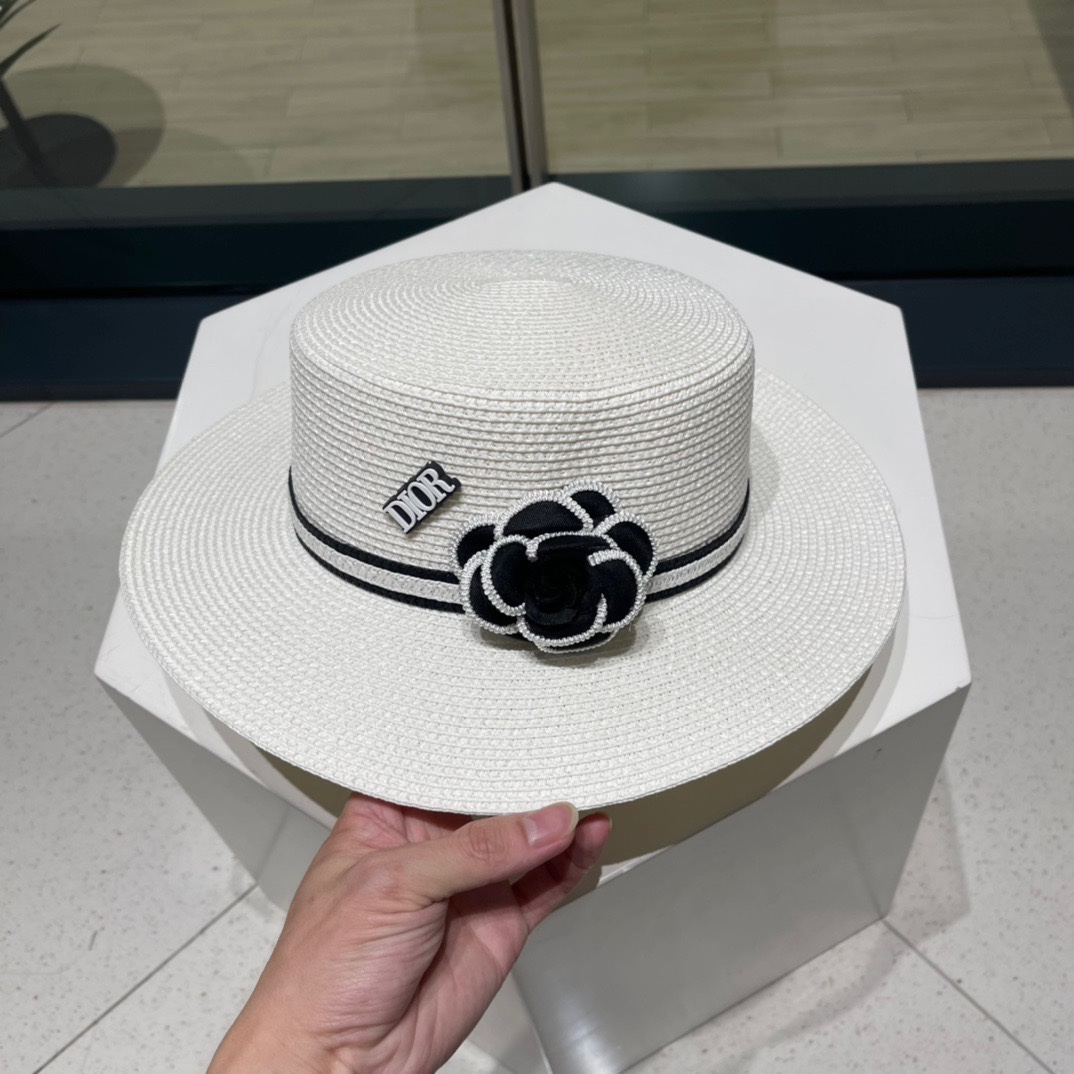 Dior Hats(Replica)