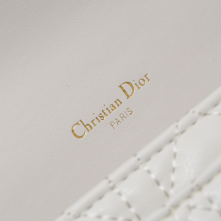 Dior Lady Dior Daily Chain Pouch Cannage lambskin Shoulder Bag Handbag