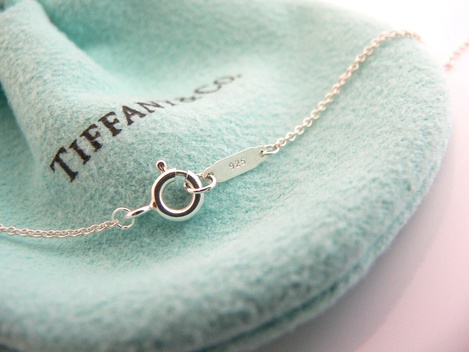 Tiffany & Co Diamond Flower Necklace Garden Lover Pendant Chain Charm Gift Pouch