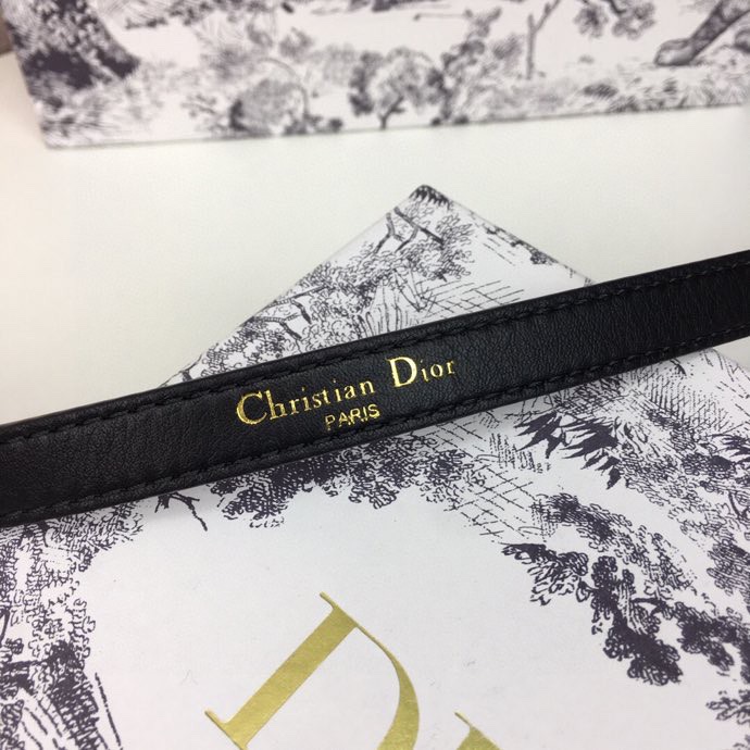 Dior Leather Belts 1:1 Mirror Version