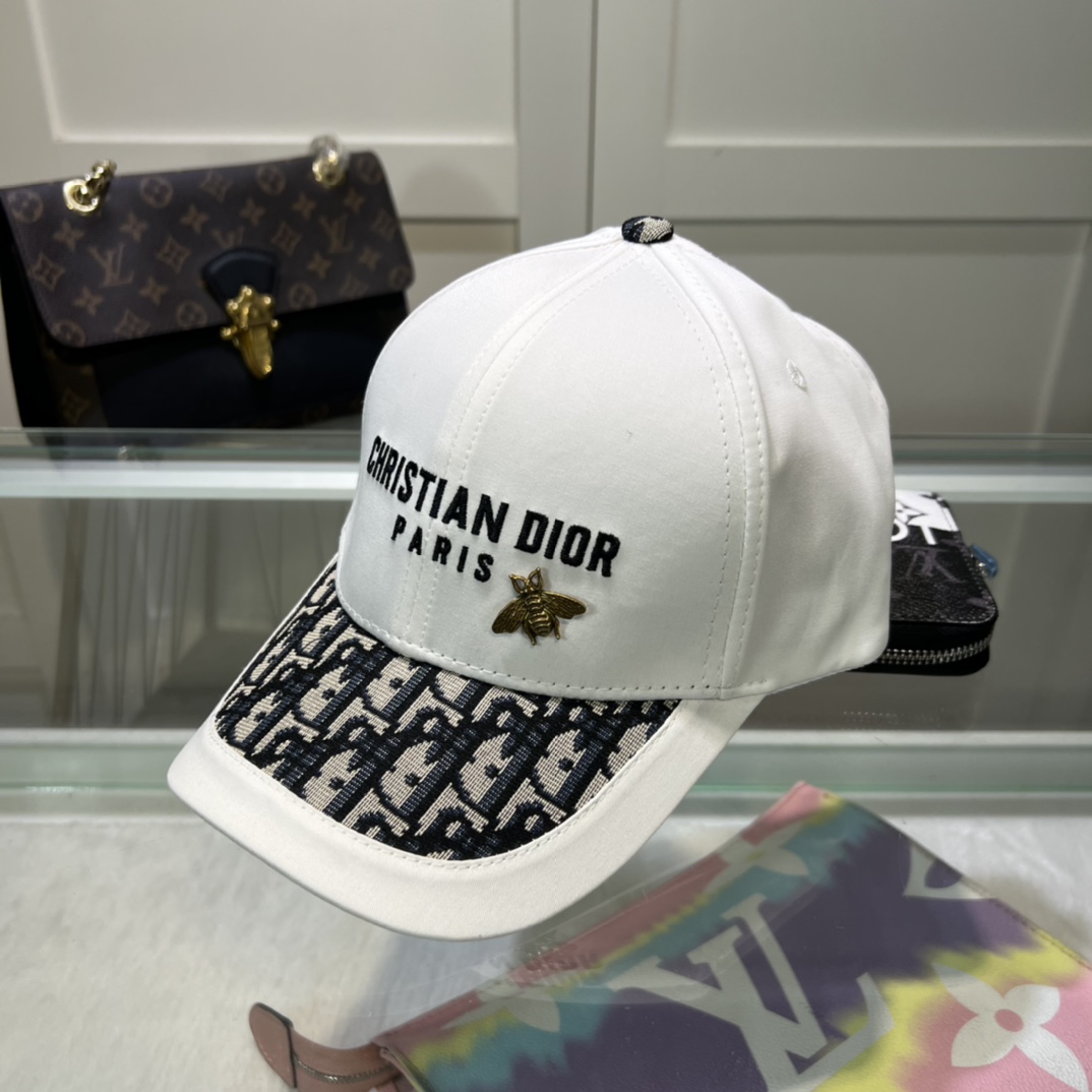 Dior Hats(Replica)