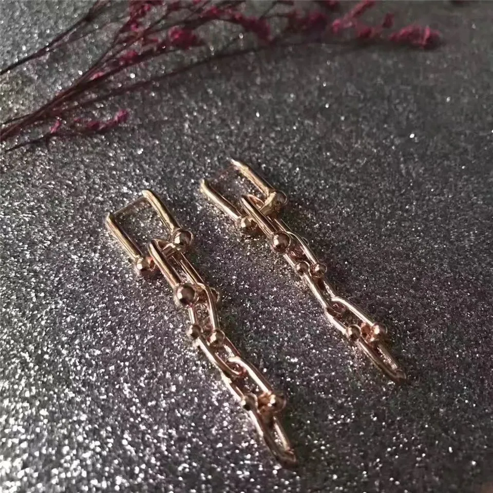 Tiffany Hardwear Interlocking Link Earrings Sterling Silver Couple Style Jewelry USA38087932/38087975