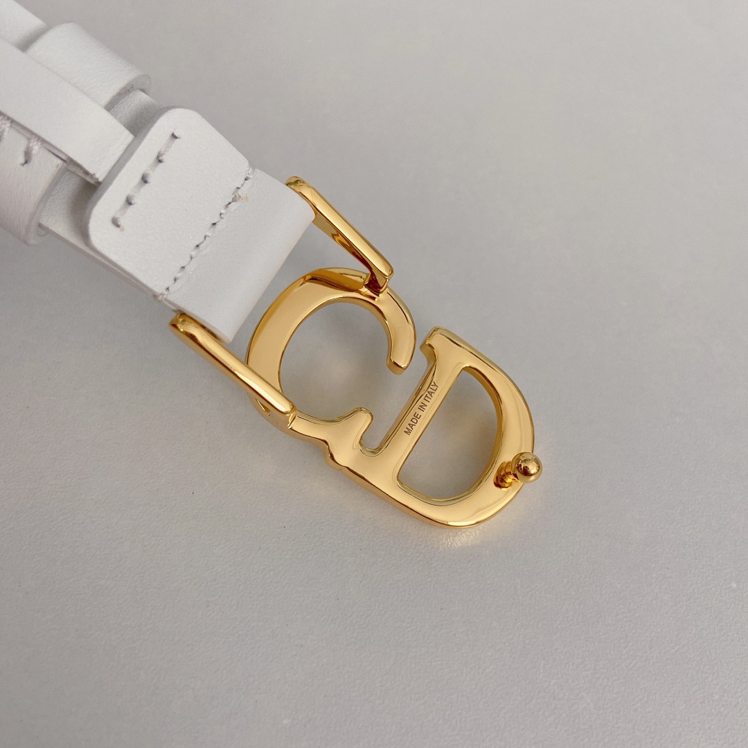 Dior Leather Belts 1:1 Mirror Version