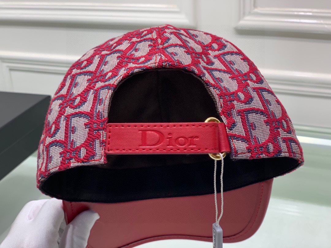 Dior Hats(Replica)