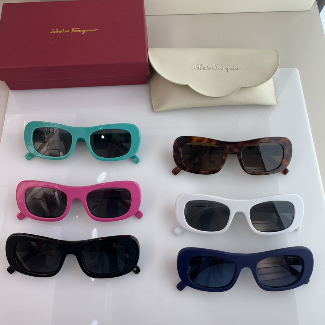Ferragamo Sunglasses