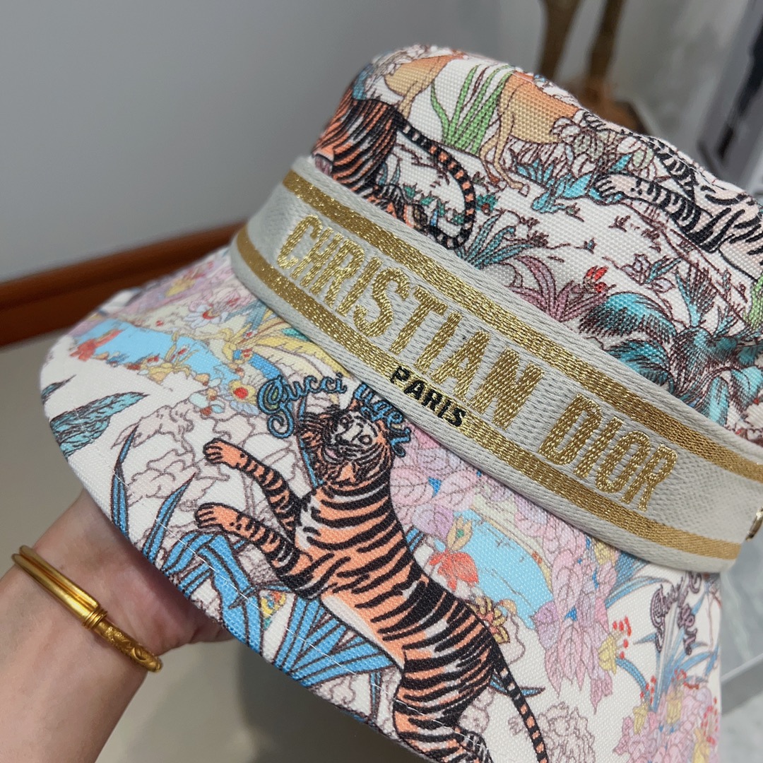 Dior Hats(Replica)
