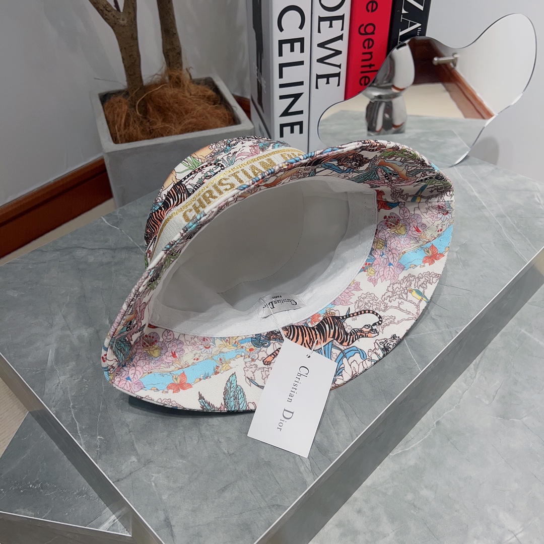 Dior Hats(Replica)
