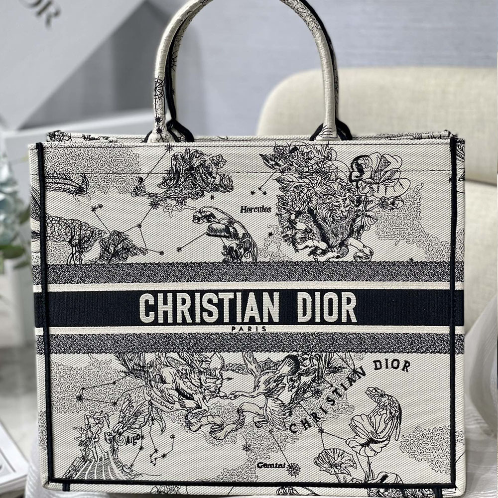 DIOR Book Tote Bags Collection(Replica)