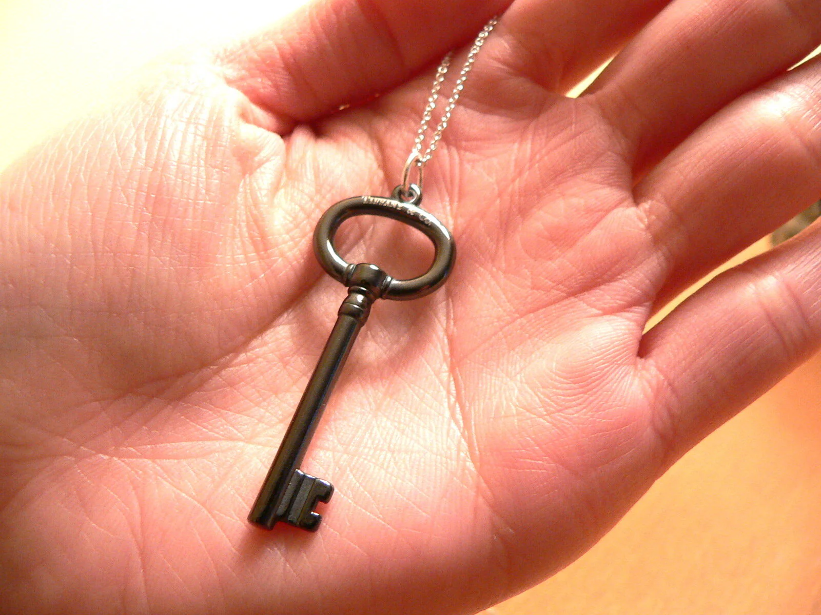 Tiffany & Co Silver Oval Black Titanium Key Necklace Pendant Chain Gift 17 Inch