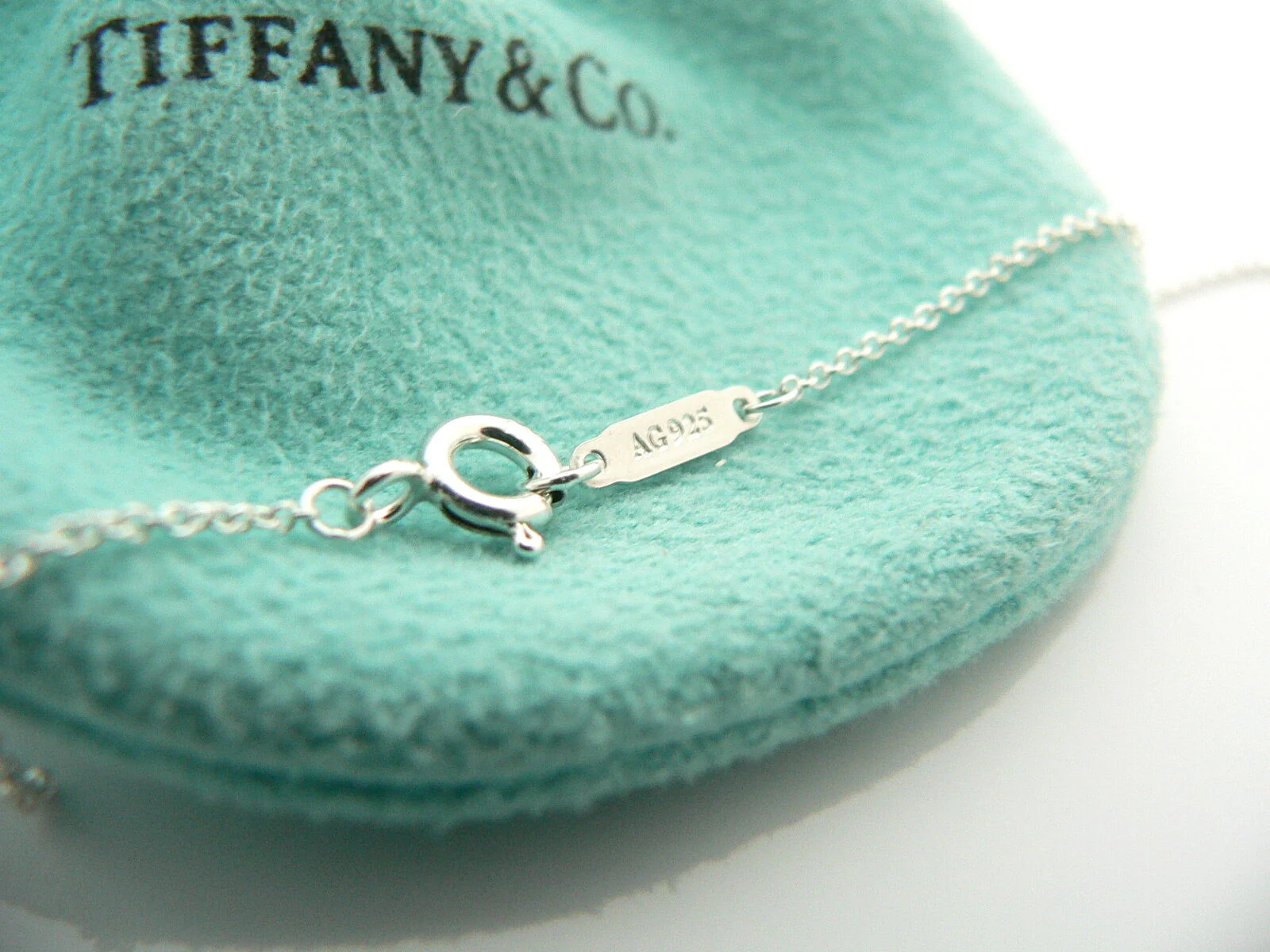 Tiffany & Co 1837 Interlocking Circles Necklace Pendant Chain Gift Pouch 17 Inch