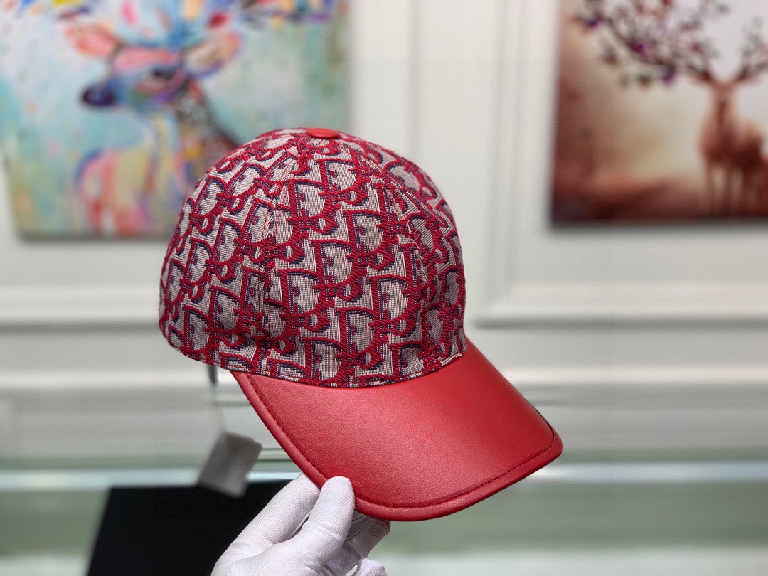 Dior Hats(Replica)