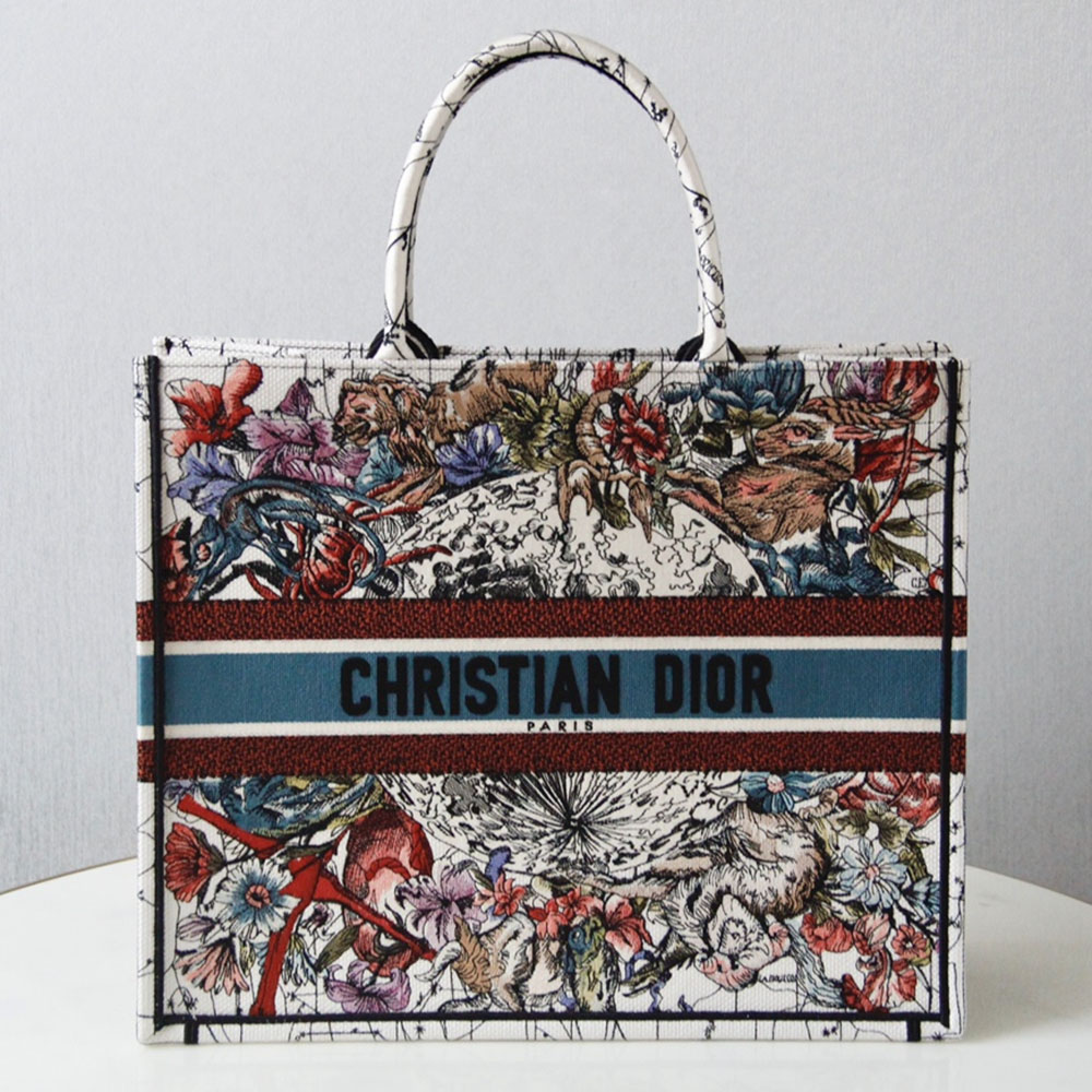 DIOR Book Tote Bags Collection(Replica)