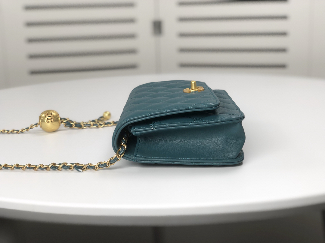 Chanel Wallet On Chain Shoulder Bag Handbag