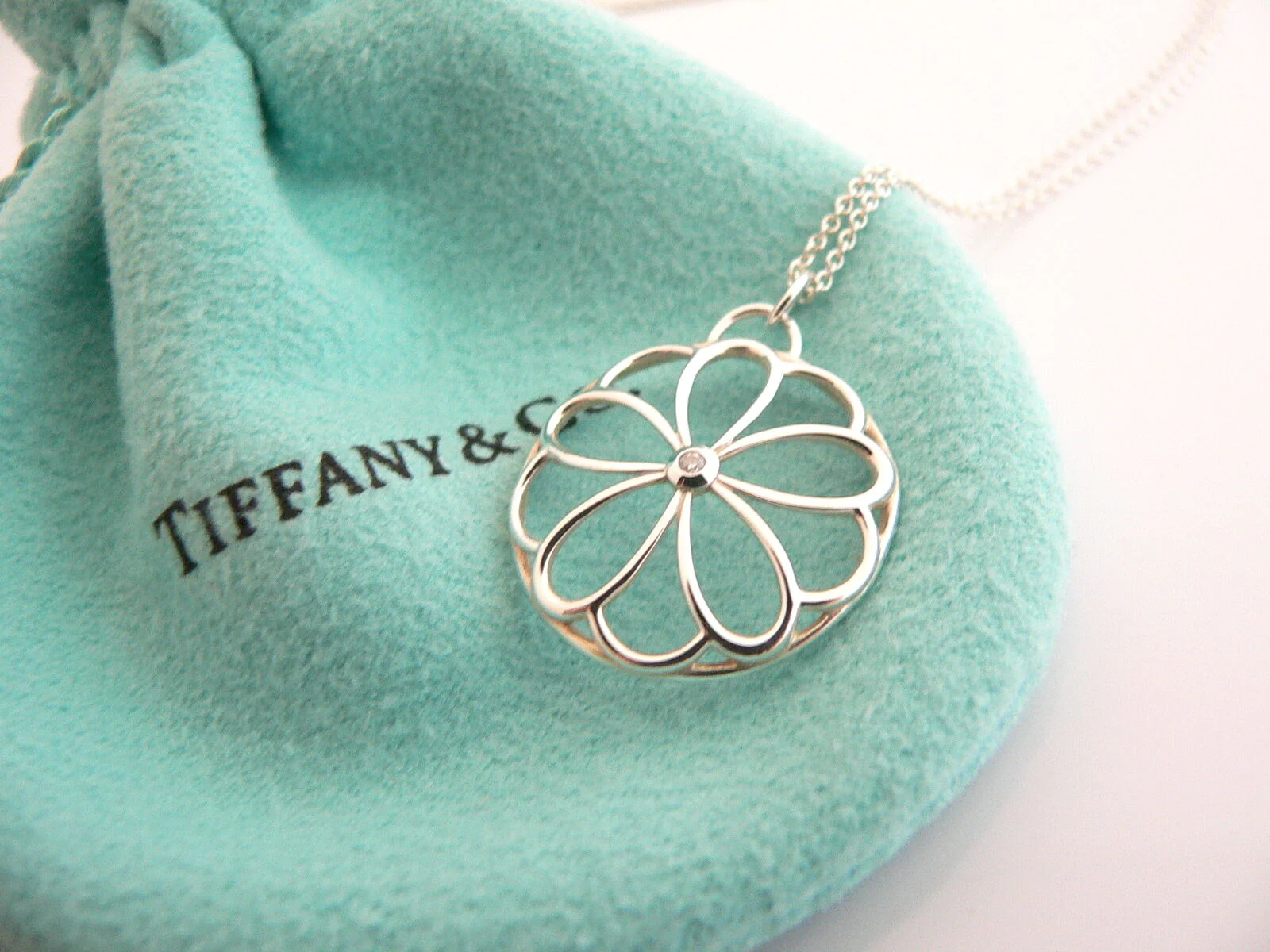 Tiffany & Co Diamond Flower Necklace Garden Lover Pendant Chain Charm Gift Pouch