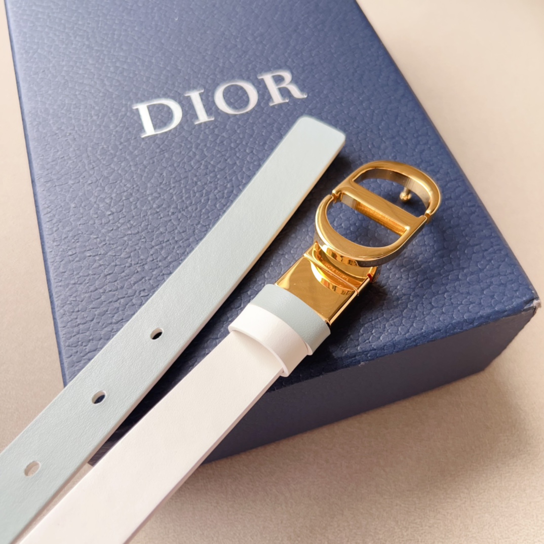 Dior Leather Belts 1:1 Mirror Version