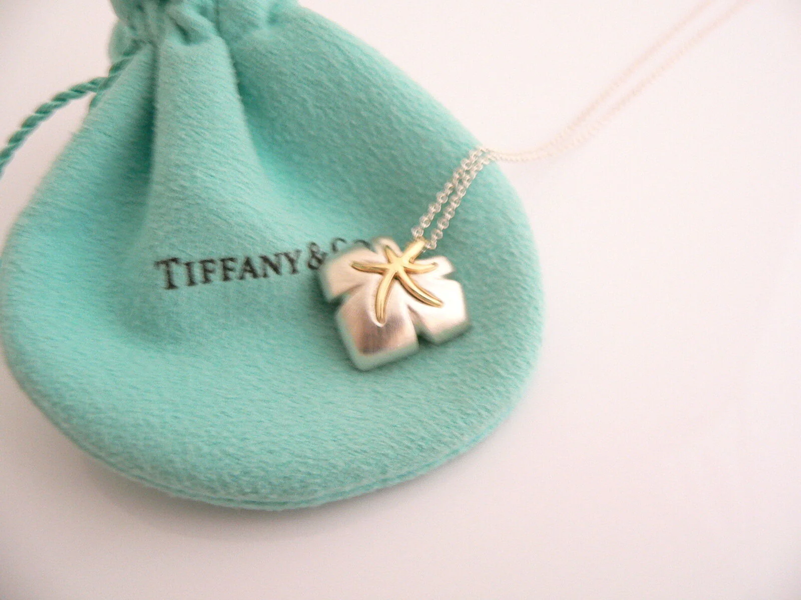 Tiffany & Co Silver 18K Gold Starfish Necklace Ivy Pendant Charm Love Gift Pouch